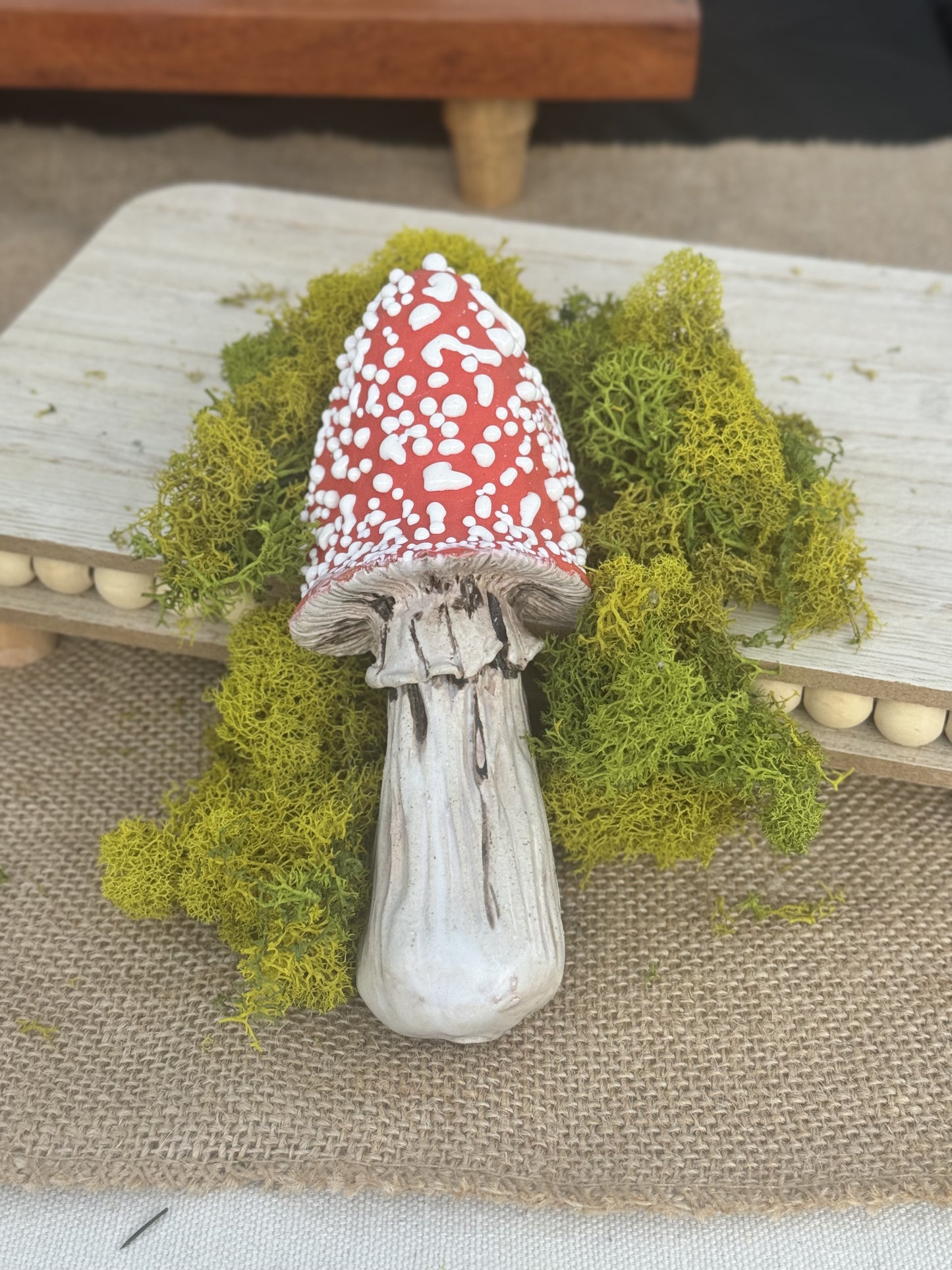Mushroom Ouid Apparatus *PRE ORDER*