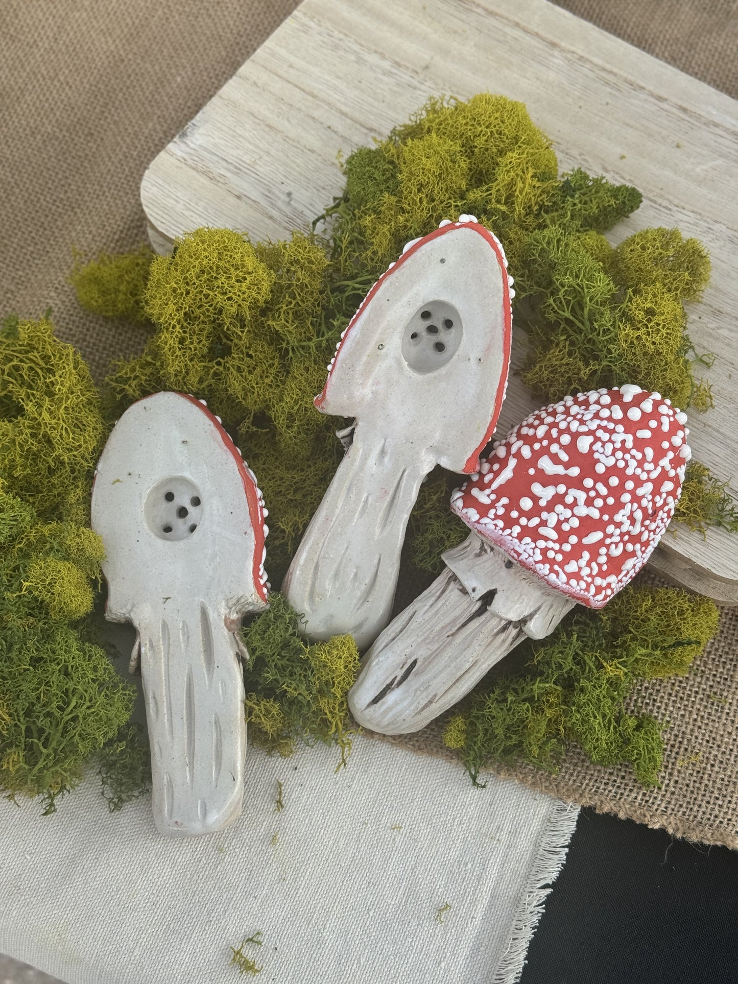 Mushroom Ouid Apparatus *PRE ORDER*