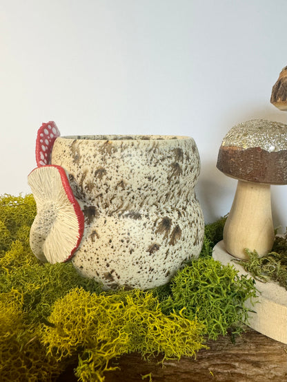 winterwood mushie planter