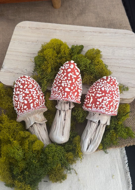 Mushroom Ouid Apparatus *PRE ORDER*